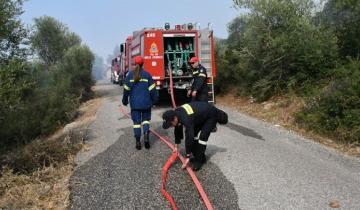 Οριοθετήθηκε η πυρκαγιά στα Σπάτα - Επιχειρούν εναέρια μέσα στη Βοιωτία