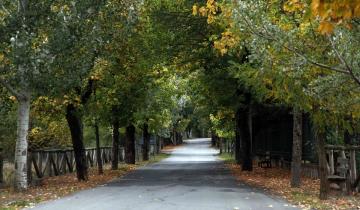 5 ελατοσκέπαστα χωριά κοντά στην Αθήνα για χριστουγεννιάτικες αποδράσεις