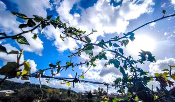 Νέο κύμα κακοκαιρίας με χιόνια στα ορεινά το Σαββατοκύριακο