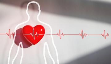 Τι επηρεάζει την υγεία της καρδιάς μας;