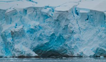 Στην Ανταρκτική η γρίπη των πτηνών - Αποδεκατίζει πληθυσμούς σπάνιων πληθυσμών, ακόμη και θηλαστικών