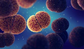 Τι πρέπει να γνωρίζουμε για τη μηνιγγίτιδα - Οι ειδικοί συμβουλεύουν