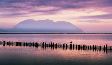 Μεσολόγγι: Διαδρομές στη φύση και την ιστορία