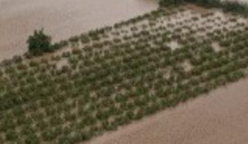 Λήμνος: Αίτημα για κήρυξη του νησιού σε κατάσταση Έκτακτης Ανάγκης - Χωρίς νερό η Μύρινα