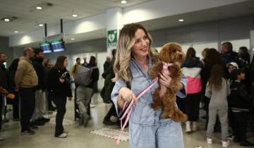 Επιχείρηση «Κιβωτός»: 101 Έλληνες επαναπατρίστηκαν από Μέση Ανατολή με τα 45 κατοικίδιά τους