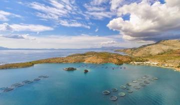 Προκαταρκτική συμφωνία Cooke - Avramar Ελλάδας