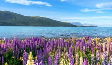 Τα 10 πιο πολύχρωμα μέρη στον κόσμο που πρέπει να επισκεφτεί κάθε λάτρης των λουλουδιών