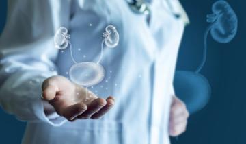 Η Ελλάδα πρωτοστατεί στην ενημέρωση για τις ουρολογικές παθήσεις στην Ευρώπη - Έρχονται δράσεις σε σχολεία, Δήμους