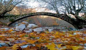 Οι εμπειρίες που αξίζει να ζήσετε στην Ευρυτανία