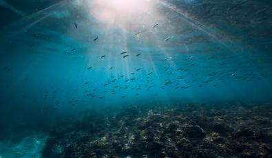 Copernicus: Οι ωκεανοί κοντά σε επίπεδα ρεκόρ υψηλής θερμοκρασίας