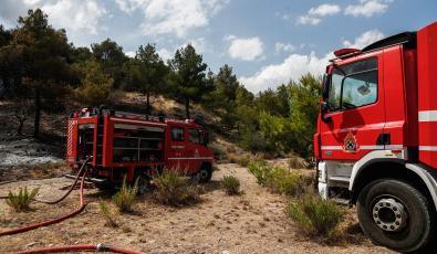 Πυροσβεστική: 103 συλλήψεις για πυρκαγιές από την αρχή του έτους
