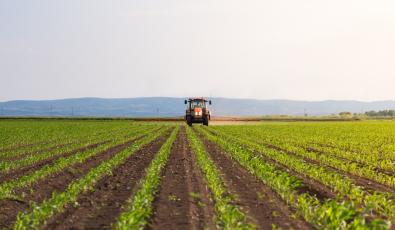 Τι να σπείρω φέτος; Ο προβληματισμός του αγρότη που οδηγεί στην ακρίβεια στο ράφι…