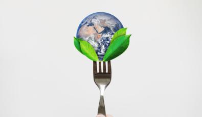 Excel4Pro: Ανοιχτή πρόσκληση συνολικού προϋπολογισμού 360.000 ευρώ για startups και ΜμΕ