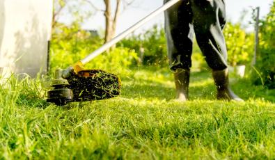 Το καλοκαίρι ξεκινά τον Απρίλιο: Η μάχη με τα ακαθάριστα οικόπεδα πριν ανάψει η πρώτη φωτιά