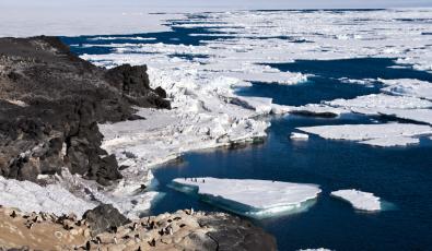 Οι πάγοι στην Ανταρκτική συρρικνώθηκαν φέτος περισσότερο από ποτέ