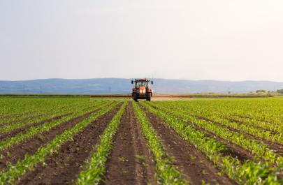 Τι να σπείρω φέτος; Ο προβληματισμός του αγρότη που οδηγεί στην ακρίβεια στο ράφι…