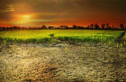 Από το χωράφι στο ράφι… Ποιος κερδίζει πραγματικά;