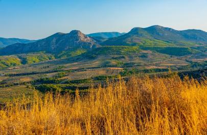 Κλιματική αβεβαιότητα και ΕΛΓΑ: Όταν ο παγετός του Απριλίου «παγώνει» την οικονομία της υπαίθρου