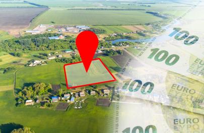 Αγροτικός Τομέας και Τράπεζες: Η Χρηματοδότηση σε κλοιό ρίσκου…