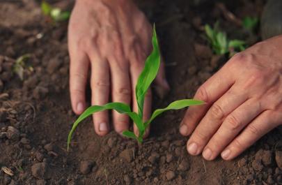 Λιπάσματα: Ενίσχυση 15% αλλά με ρίσκο - Παραδείγματα επιδότησης