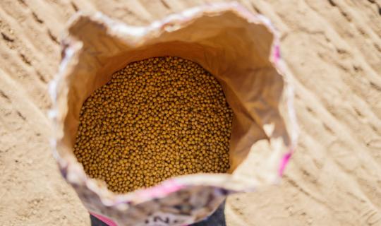 Ο πόλεμος της σόγιας ΗΠΑ - Κίνας: Πρώτο θύμα οι Αμερικάνοι αγρότες, κατά πλειοψηφία ψηφοφόροι Τραμπ!