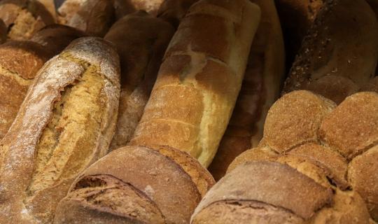 Το 7% του πληθυσμού της χώρας αντιμετώπισε μέτρια ή σοβαρή ανεπάρκεια τροφής το 2024