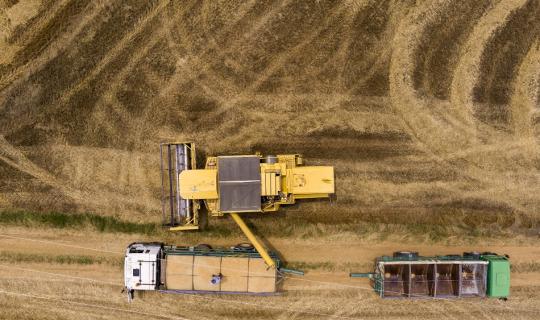 Ρωσία: Δύο περιοχές καλλιέργειας σιτηρών ανακοίνωσαν μειωμένη συγκομιδή λόγω παγετού