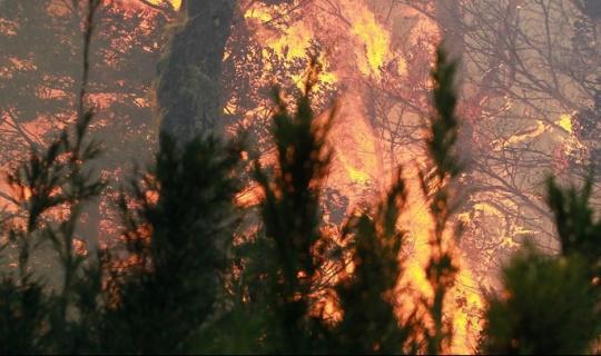 Ολοκληρώθηκε το 2ετές πιλοτικό έργο προδιαγεγραμμένης καύσης στη Χίο - Τα συμπεράσματα