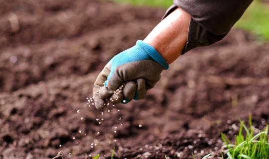 Αύξηση της ενίσχυσης στα λιπάσματα ζητά ο Πρόεδρος του ΣΠΕΛ - Τι πρέπει να γίνει στη Θεσσαλία