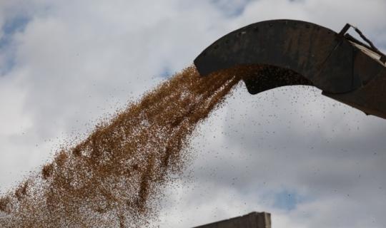 «Άλμα» 8% στην τιμή του σιταριού μετά τις ρωσικές απειλές για τα ουκρανικά λιμάνια