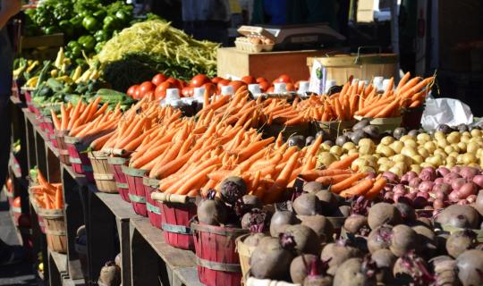 Οργανικά τρόφιμα: Πόσο αξίζει η υψηλότερη τιμή που πληρώνουν οι καταναλωτές
