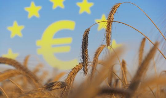 Η απάτη στις αγροτικές επιδοτήσεις είναι πρόβλημα συστημικό