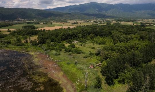 Δασική πολιτική χωρίς τους πληθυσμούς που ζουν στο δάσος;