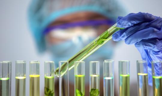 Οι κορυφαίες ιατρικές έρευνες του 2025, σύμφωνα με το περιοδικό JAMA