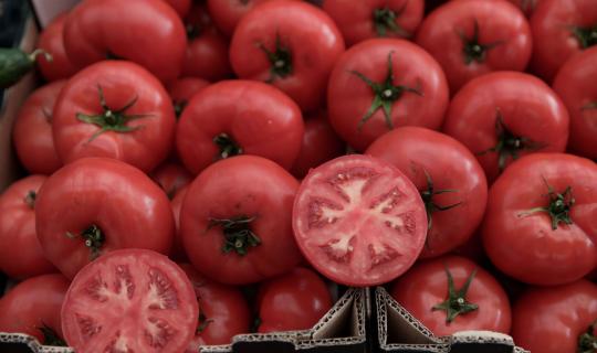 Πώς καθορίζεται το κόστος για τα οπωροκηπευτικά προϊόντα
