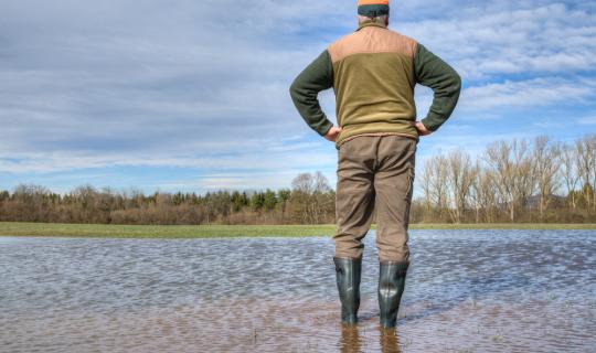H Κομισιόν ενέκρινε ελληνικό καθεστώς κρατικών ενισχύσεων ύψους 80 εκατ. ευρώ στον γεωργικό τομέα
