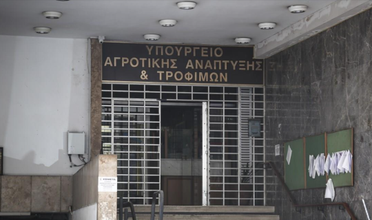 ΥπΑΑΤ: Προληπτικοί έλεγχοι για γρίπη πουλερικών - Πώς προχωρά η ευλογιά των προβάτων