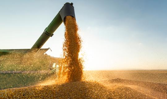 Αγορά σιτηρών; Πτωτικά προσωρινά… Ανοδικά μελλοντικά;
