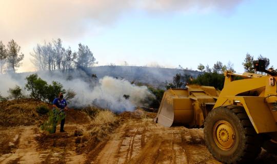 Καταγραφή και επιχορήγηση επιχειρήσεων - αγροτικών εκμεταλλεύσεων που επλήγησαν από τις πυρκαγιές στον Έβρο
