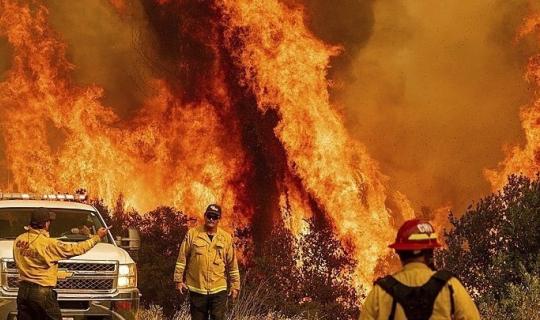 Πυρκαγιά στην Αττική: Κρατική Αρωγή για τις αγροτικές εκμεταλλεύσεις που επλήγησαν