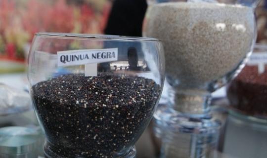 Πανεπιστήμιο Θεσσαλίας: Αυτές είναι οι καλλιέργειες που δεν απαιτούν πολύ νερό