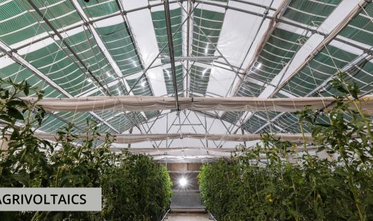 Αγροβολταϊκά: Αύξηση Παραγωγής και Εξοικονόμηση ενέργειας, γης και φυσικών πόρων