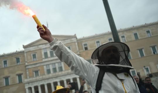 Οι μελισσοκόμοι διαδήλωσαν για να προλάβουν τα χειρότερα: Ποια μπορεί να είναι αυτά;