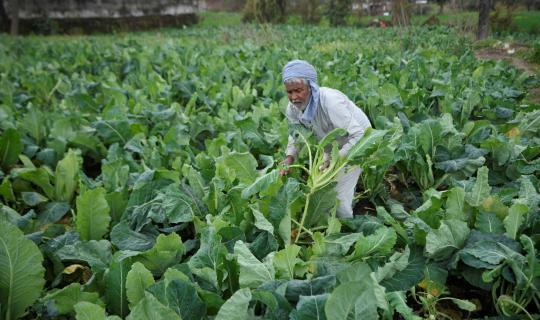 Η «αγροτική» Ινδία: Αγώνας ανάμεσα στην σύγχρονη τεχνολογία και την πείνα