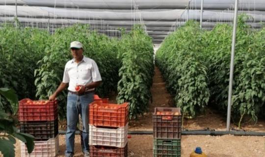 Πώς οι δασμοί Τραμπ επηρεάζουν το εμπόριο γεωργικών και κτηνοτροφικών προϊόντων;