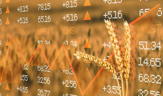 Τρ. Πειραιώς: Άνοδος για 2ο συνεχόμενο μήνα στις τιμές των αγροτικών προϊόντων