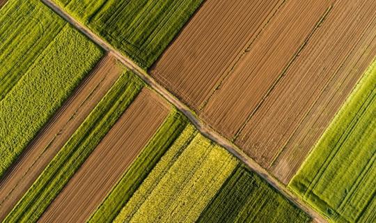 Τρ. Πειραιώς: Ενισχύθηκε ο δείκτης αγροτικών προϊόντων - Μικτή εικόνα στις αποδόσεις τον Μάιο