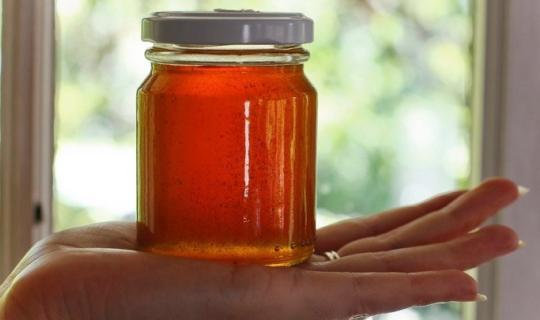 Κλιματική αλλαγή και ελληνοποιήσεις «χτυπούν» το ελληνικό μέλι