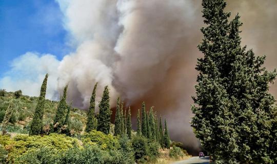 Οι πυρκαγιές «καίνε» το στόχο για κλιματική ουδετερότητα – Άπιαστο όνειρο η αποκατάσταση των δασών