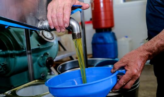 Τώρα όλοι περιμένουν τη νέα σοδειά του ελαιόλαδου για να μειωθεί ο τιμάριθμος!